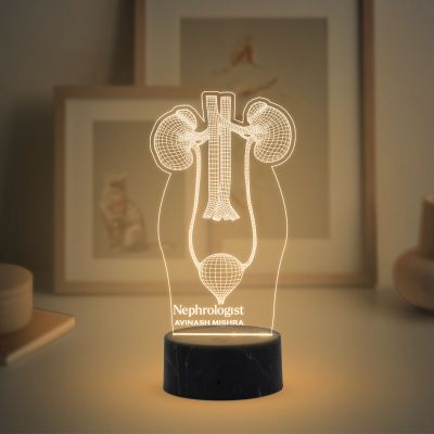 3D Illusion Kidney Acrylic Led Lamp Nephrologist Gift 3D Kidney Doctor Gifts